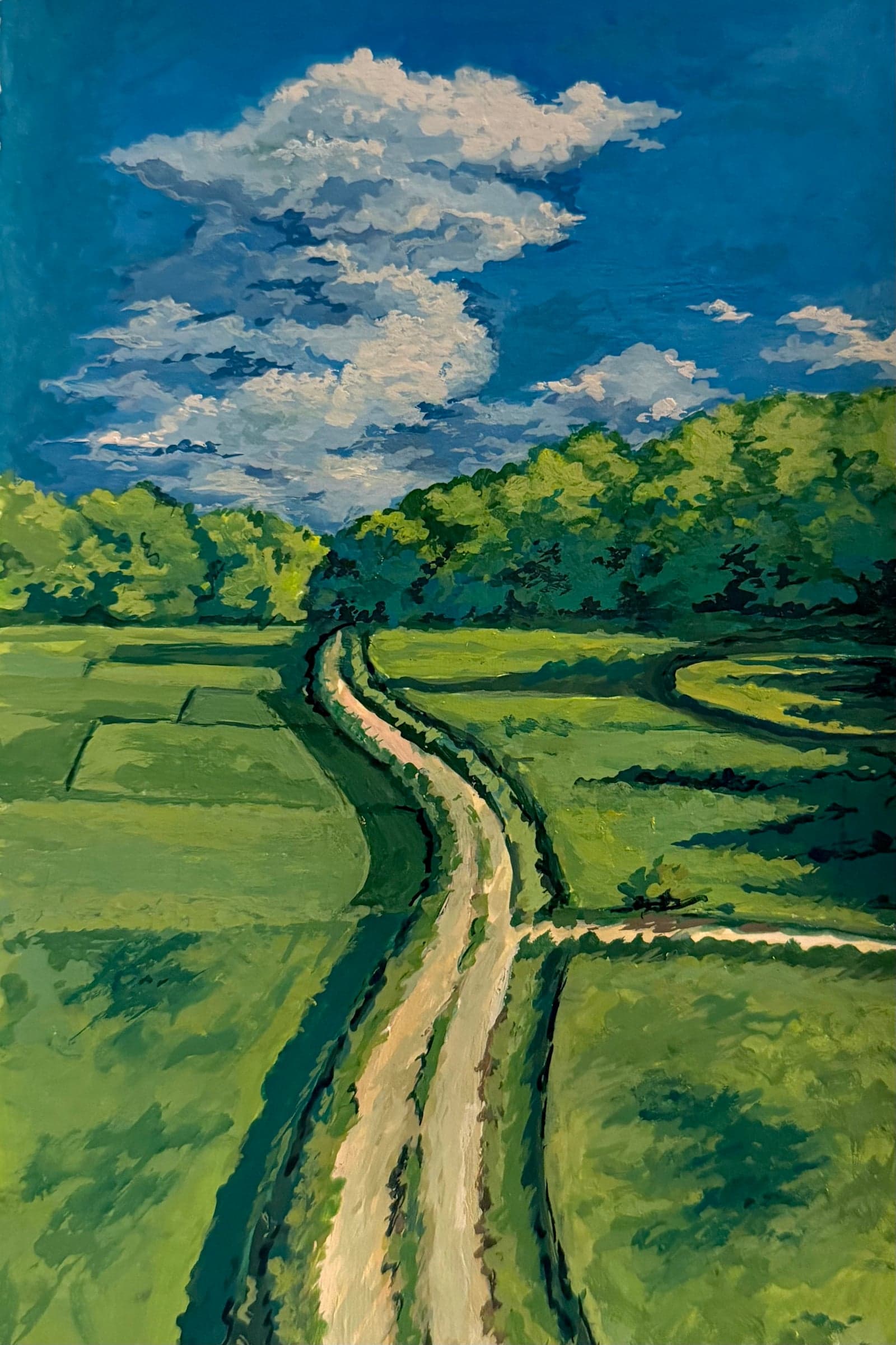 Countryside Drive