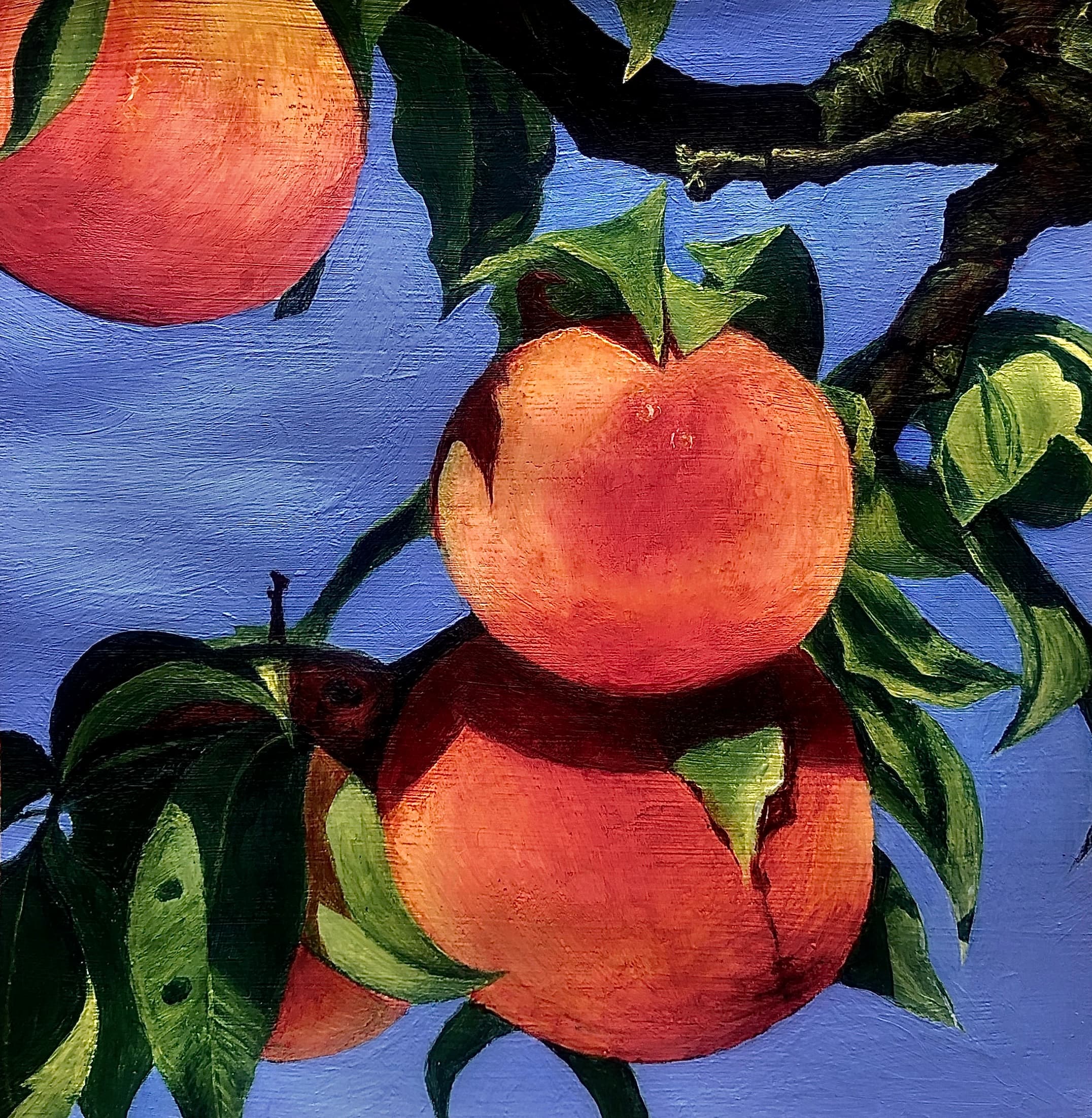 Peach Season
